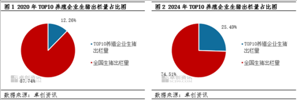 正规的配资网站 卓创资讯：集中度与产能提升 生猪养殖成本线能否被触及？