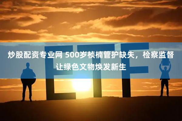 炒股配资专业网 500岁桢楠管护缺失，检察监督让绿色文物焕发新生